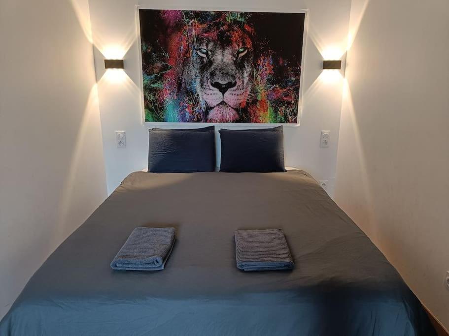Appartement Confort Equipe Au Coeur De Beziers Bagian luar foto
